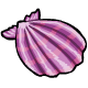 Purple Scallop Shell