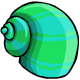 Green Smooth Shell