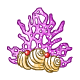 http://images.neopets.com/items/she_tiara_thedeep.gif