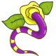 Snake Rose