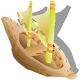http://images.neopets.com/items/tiki_boat2.gif