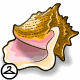 http://images.neopets.com/items/tiki_conch_shell.gif