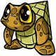 http://images.neopets.com/items/turtmid_brown.gif
