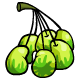http://images.neopets.com/items/tyr_water_beans.gif