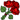 *roses*