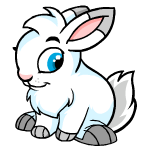 http://images.neopets.com/new_shopkeepers/631.gif