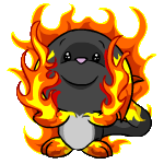 home - the website all about neopets