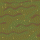 Swamp