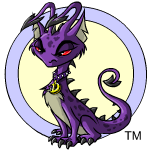 darigan aisha