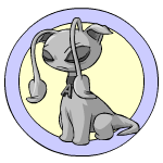 grey aisha