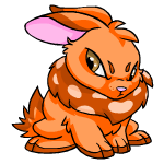 Angry orange cybunny (old pre-customisation)