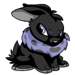 Angry shadow cybunny (old pre-customisation)