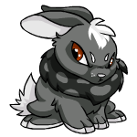 Angry skunk cybunny (old pre-customisation)