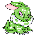 Angry speckled cybunny (old pre-customisation)