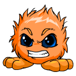 Angry orange jubjub (old pre-customisation)