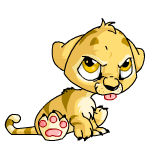 Angry baby kougra (old pre-customisation)
