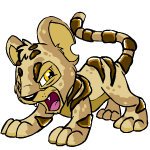 Angry biscuit kougra (old pre-customisation)