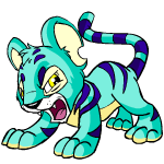 Angry blue kougra (old pre-customisation)