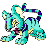 blue kougra