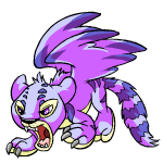 Angry faerie kougra (old pre-customisation)