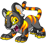 Angry fire kougra (old pre-customisation)