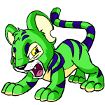 Angry green kougra (old pre-customisation)