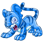 Angry jelly kougra (old pre-customisation)