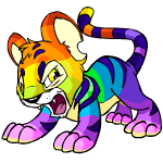 Angry rainbow kougra (old pre-customisation)
