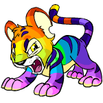 rainbow kougra