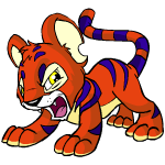 Angry red kougra (old pre-customisation)