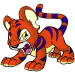 red kougra