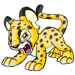 Angry spotted kougra (old pre-customisation)