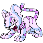 Angry striped kougra (old pre-customisation)