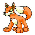 Angry orange lupe (old pre-customisation)