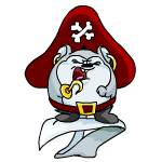Angry pirate meerca (old pre-customisation)