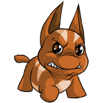 Angry brown poogle (old pre-customisation)