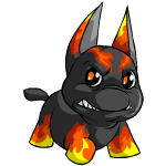 Angry fire poogle (old pre-customisation)