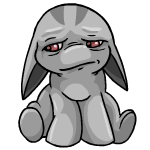 grey poogle