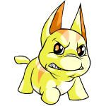 Angry yellow poogle (old pre-customisation)