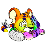 rainbow kougra