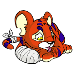 red kougra