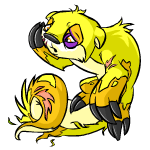 yellow lutari