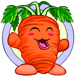 Classic Background carrot chia (old pre-customisation)