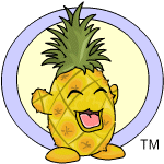 Classic Background pineapple chia (old pre-customisation)