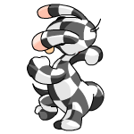 checkered blumaroo