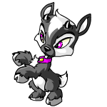 skunk ixi