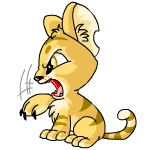 Close Attack baby kougra (old pre-customisation)