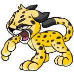 Close Attack spotted kougra (old pre-customisation)