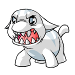 Close Attack white poogle (old pre-customisation)