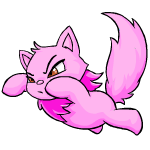 pink wocky